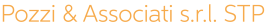 Pozzi & Associati s.r.l STP